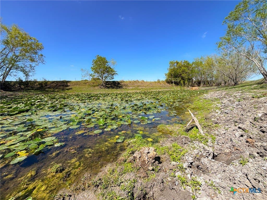 234.11 acres in Lavaca County gallery image 3