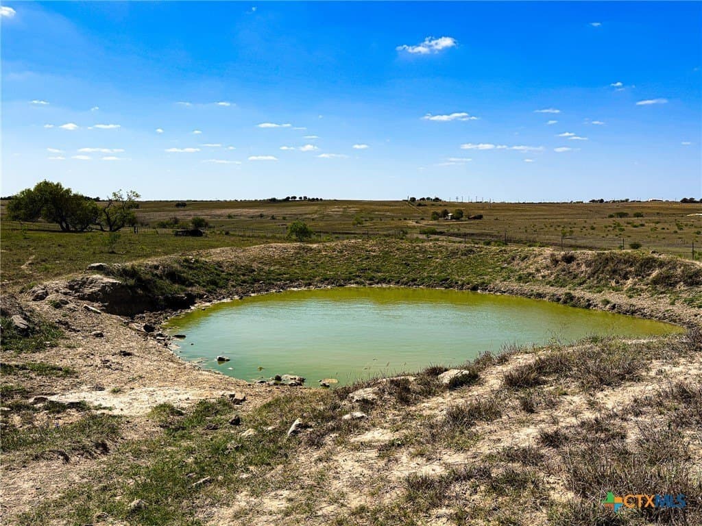 234.11 acres in Lavaca County gallery image 4