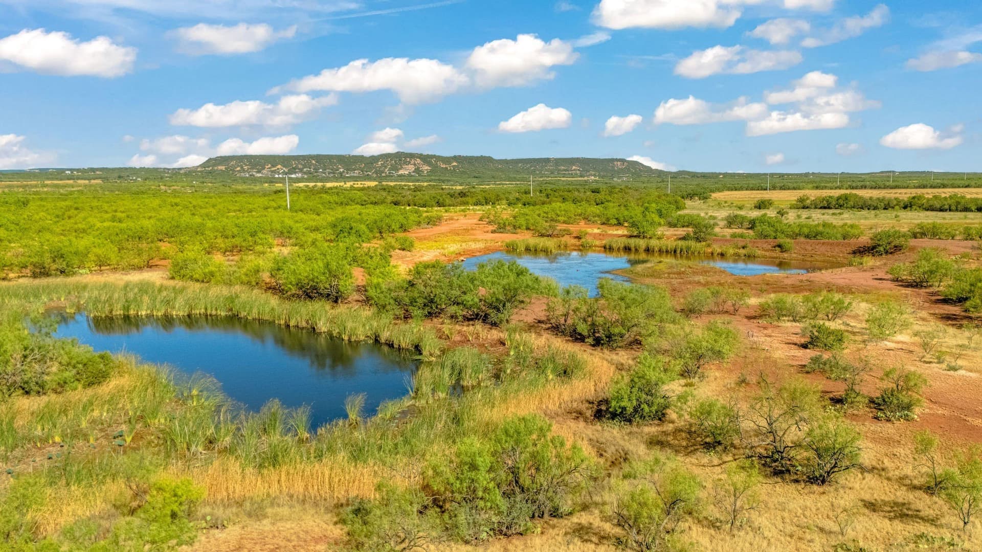160 acres in Taylor County - photo 9
