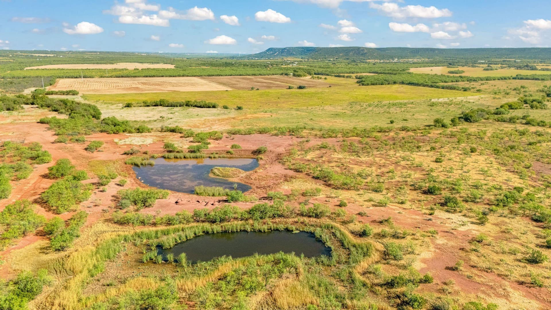 160 acres in Taylor County - photo 12
