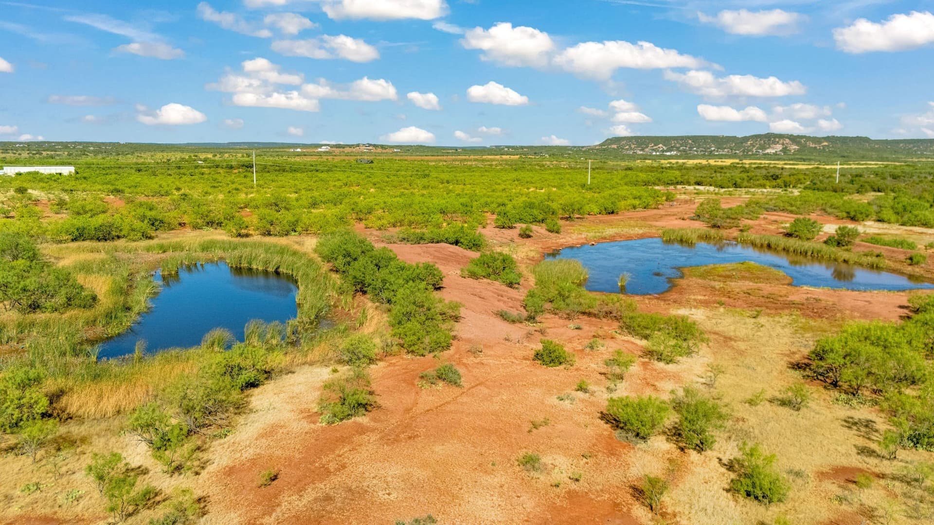 160 acres in Taylor County - photo 11