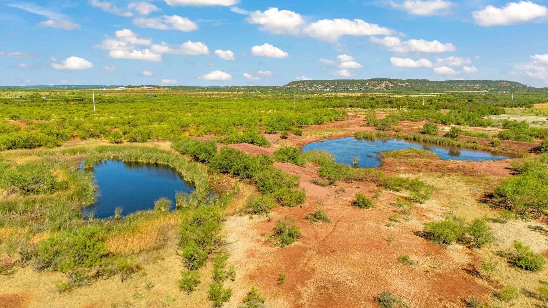 160 acres in Taylor County