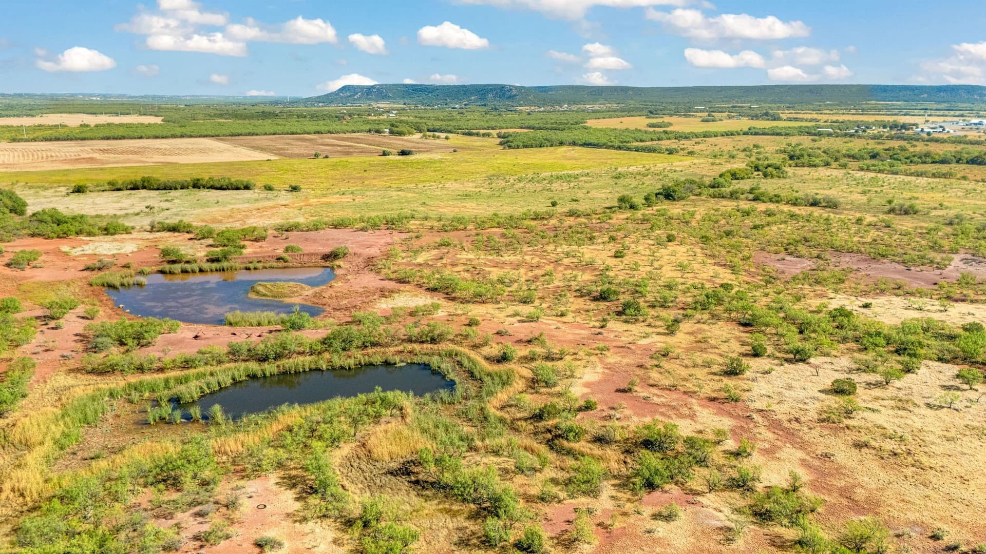 160 acres in Taylor County - photo 13