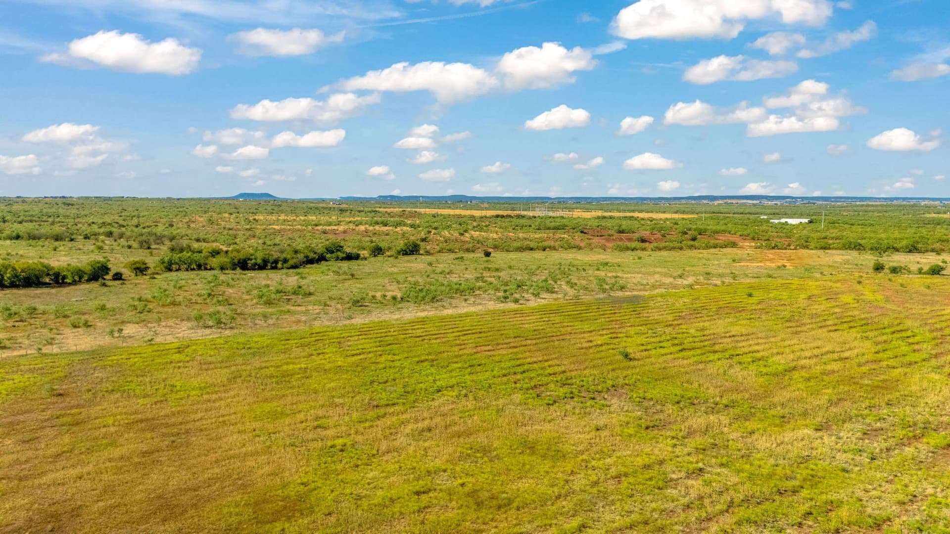 160 acres in Taylor County - photo 21