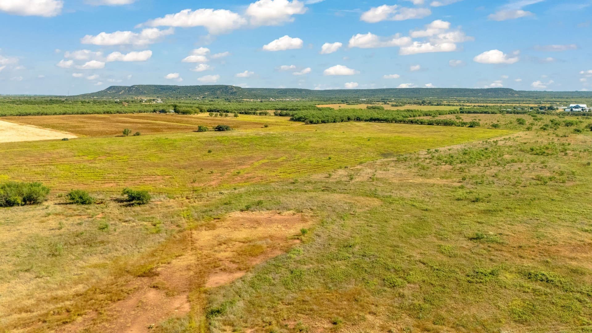 160 acres in Taylor County - photo 20