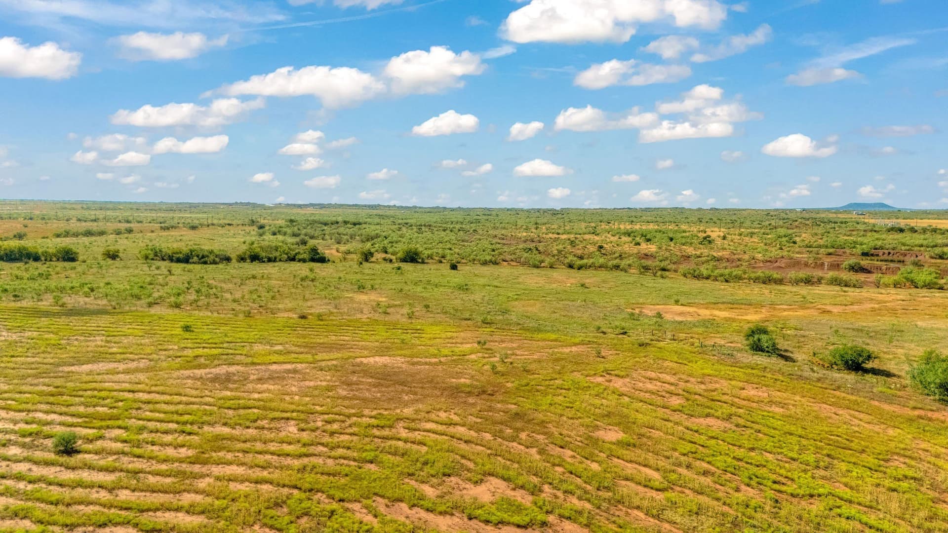160 acres in Taylor County - photo 22