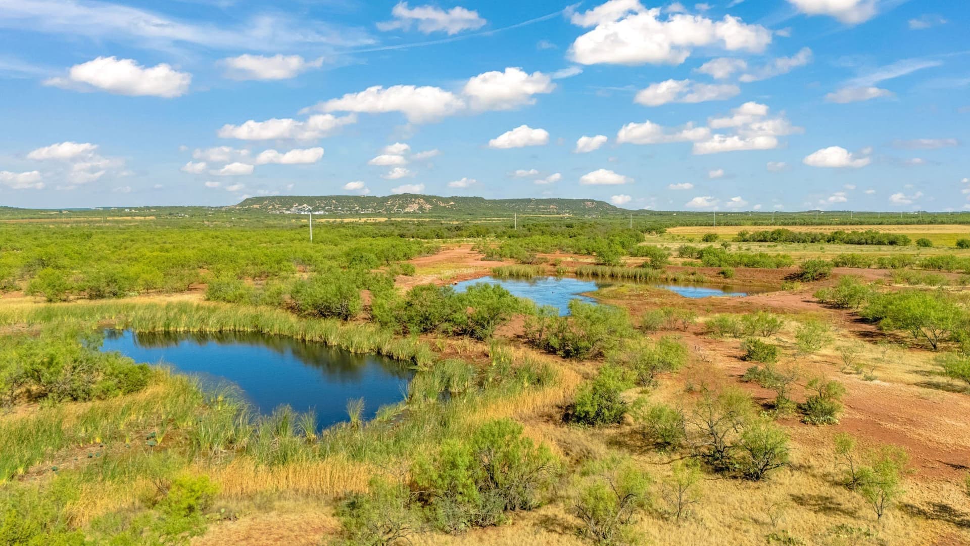 160 acres in Taylor County - photo 8