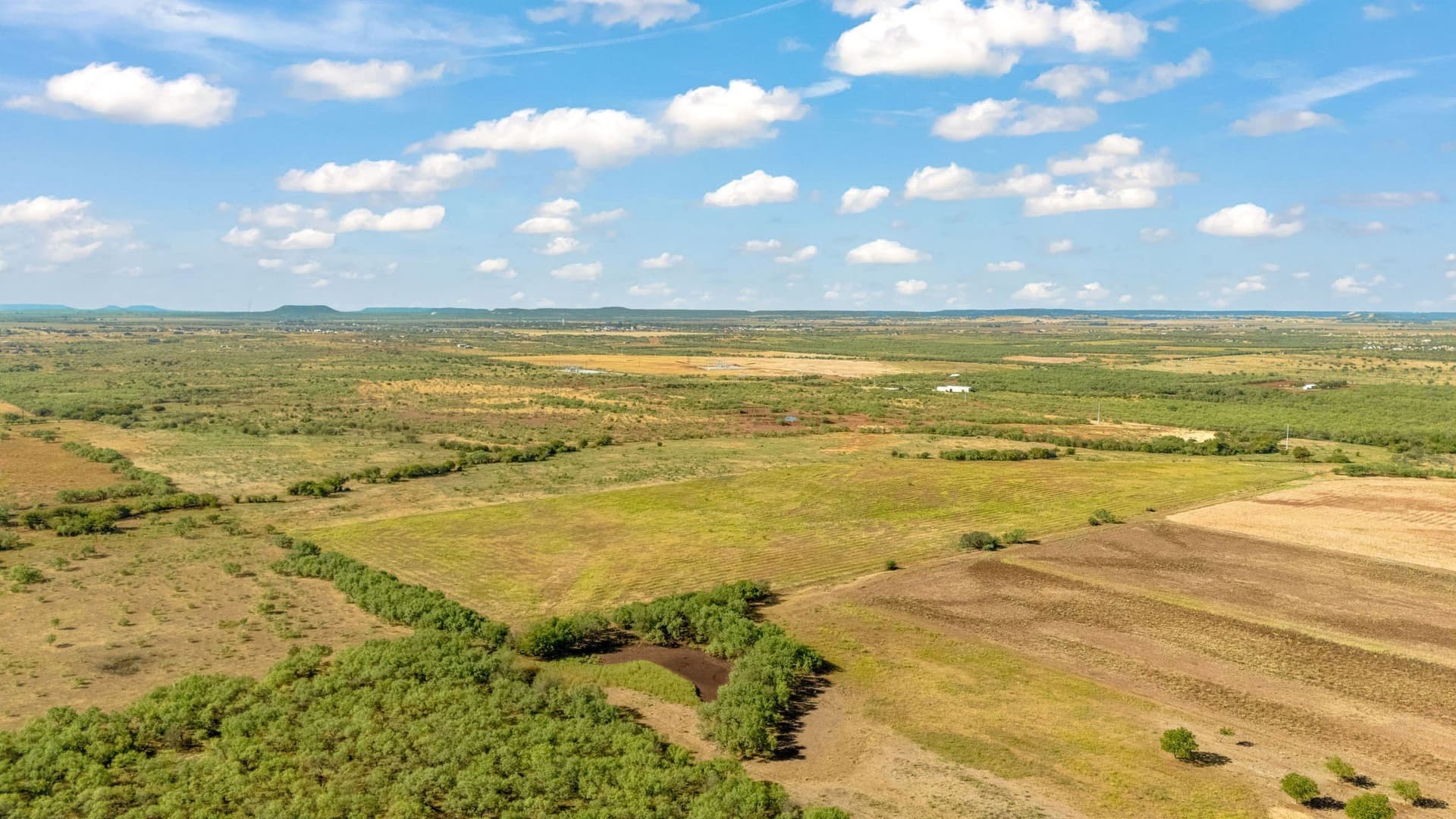 160 acres in Taylor County - photo 4