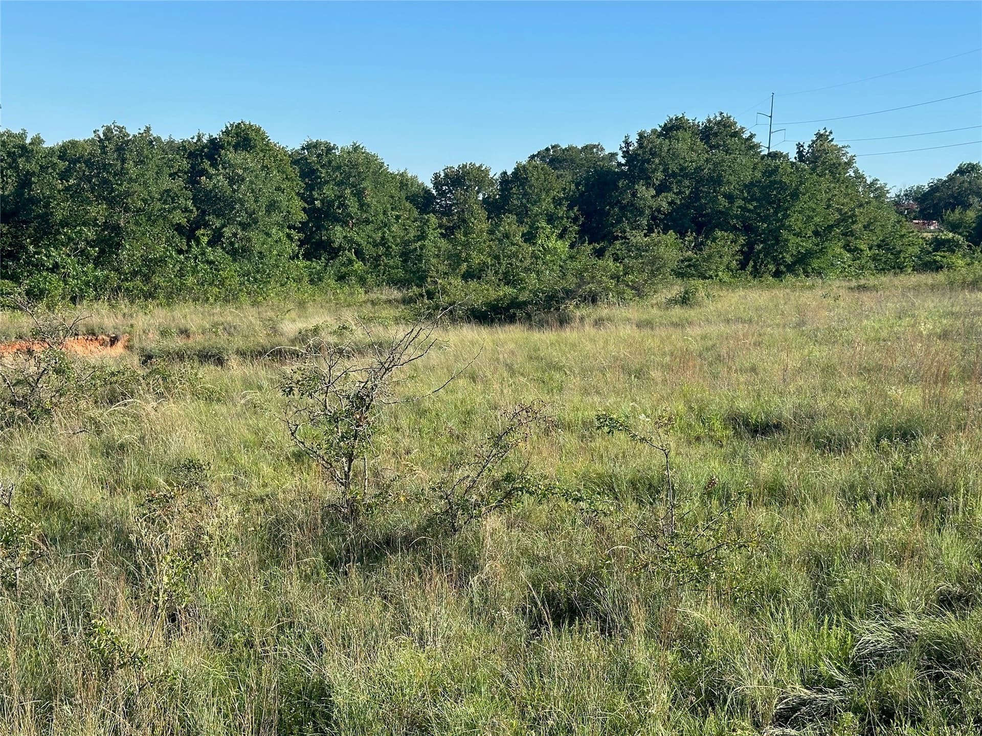 18 acres in Wise County - photo 18