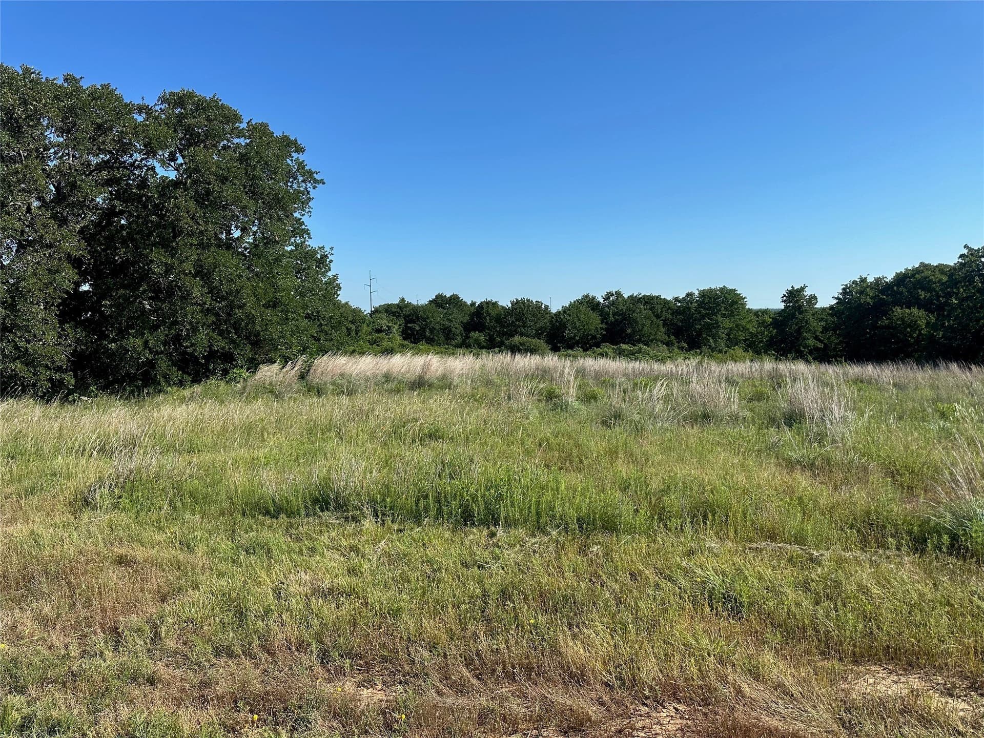 18 acres in Wise County gallery image 3