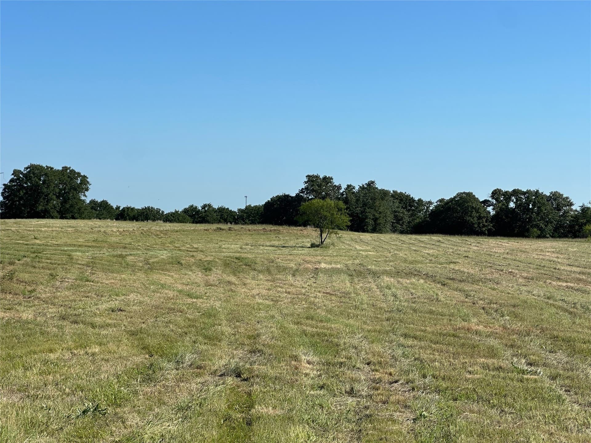 18 acres in Wise County gallery image 4