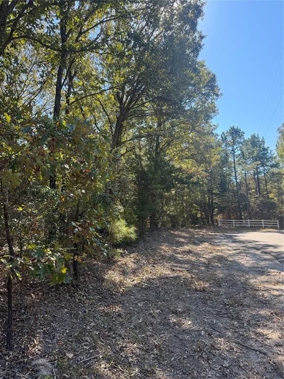 23.16 acres in Wood County gallery image 4