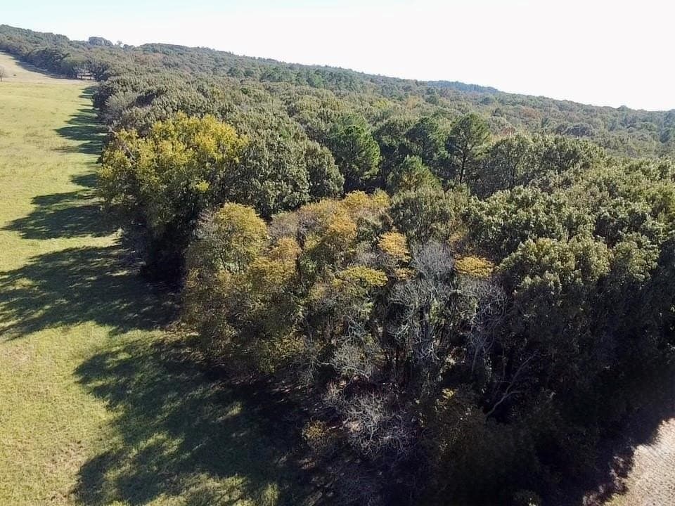 23.16 acres in Wood County