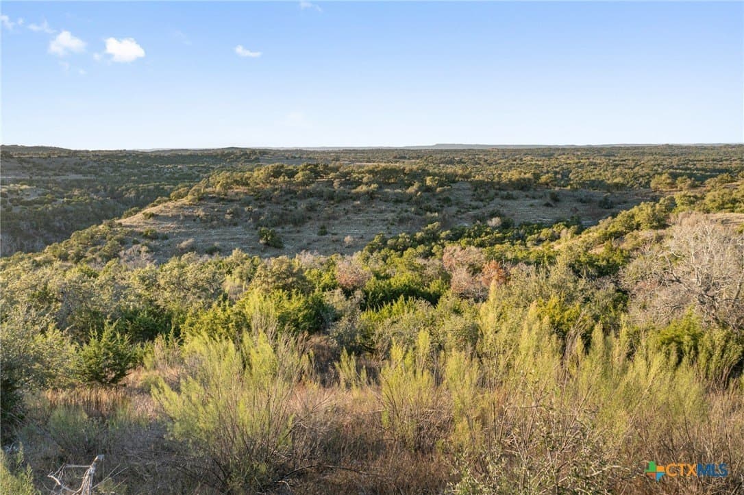 43.17 acres in Travis County - photo 11