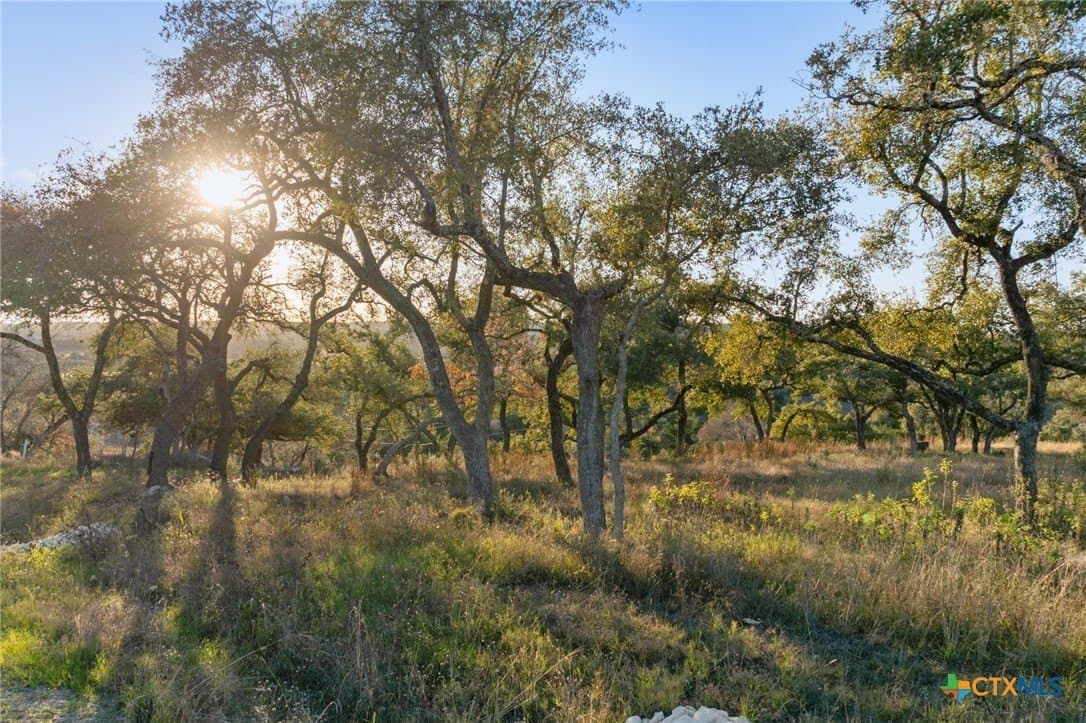 43.17 acres in Travis County - photo 30