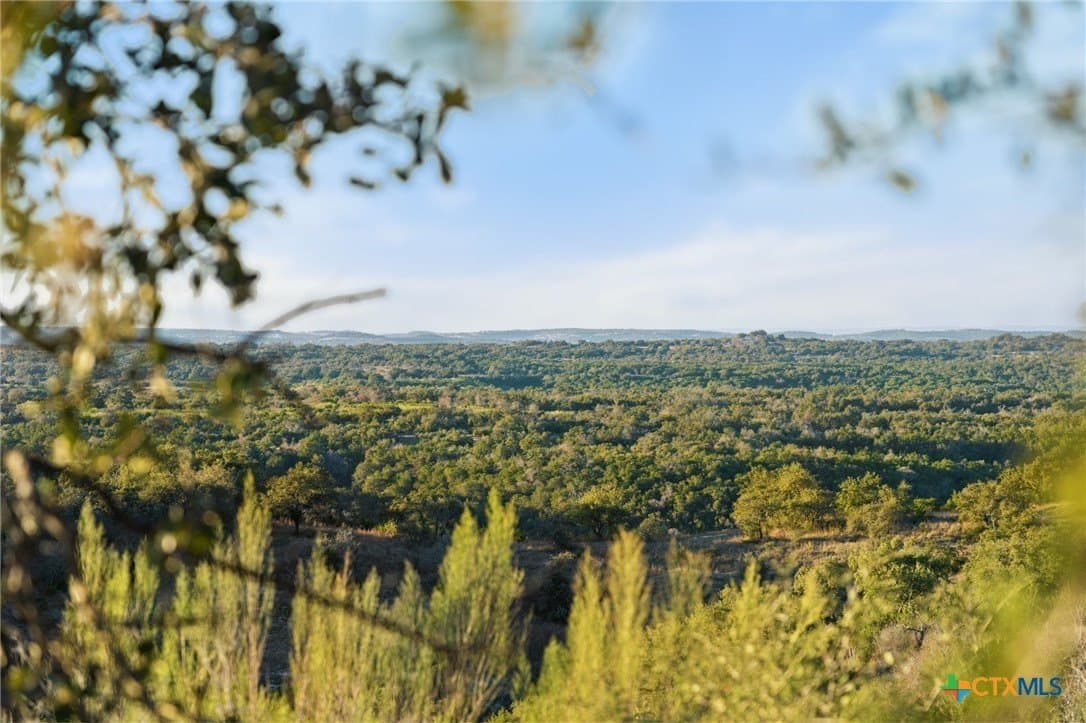 43.17 acres in Travis County - photo 40