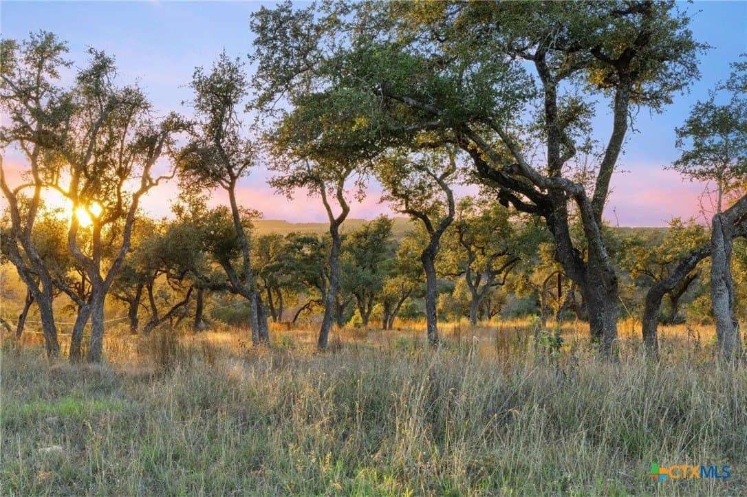 43.17 acres in Travis County - photo 35