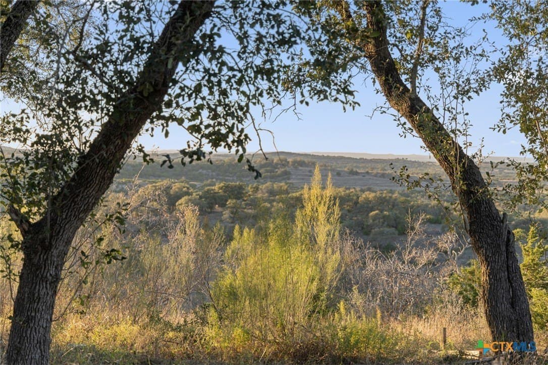 43.17 acres in Travis County - photo 12