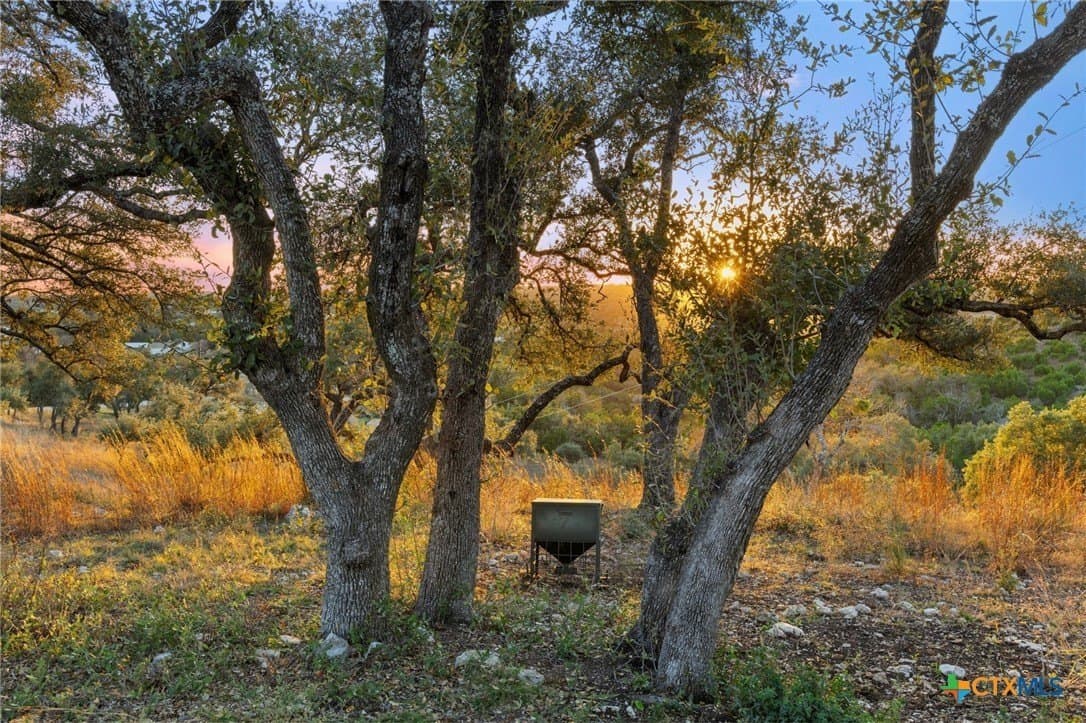 43.17 acres in Travis County - photo 36