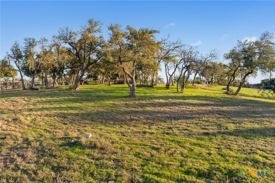43.17 acres in Travis County - photo 27