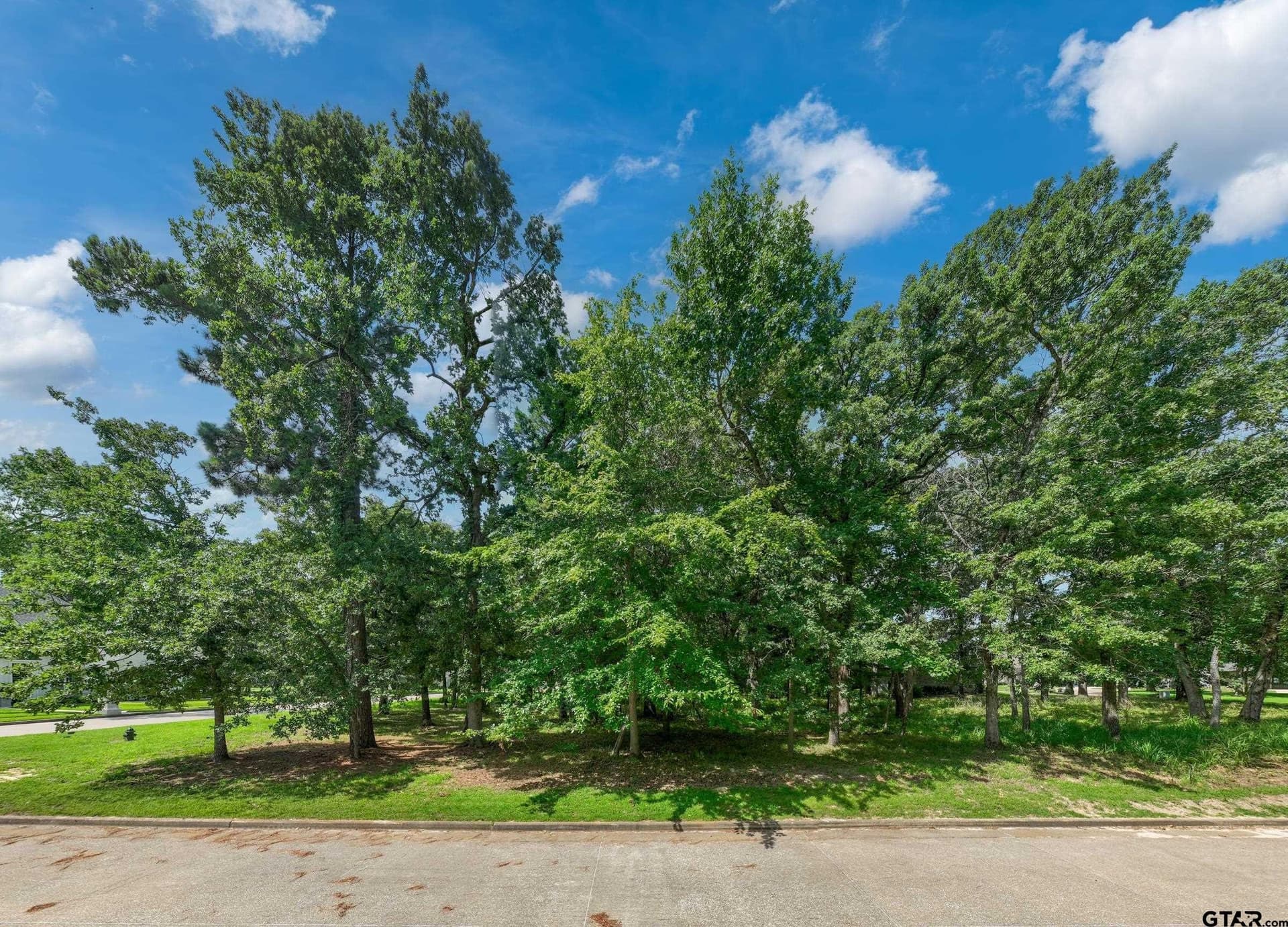 0.4 acres in Cherokee County - photo 12