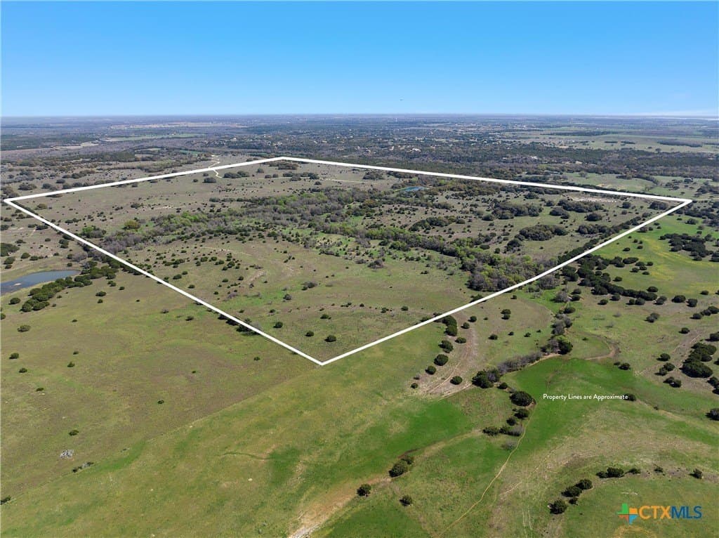 252.78 acres in McLennan County gallery image 3