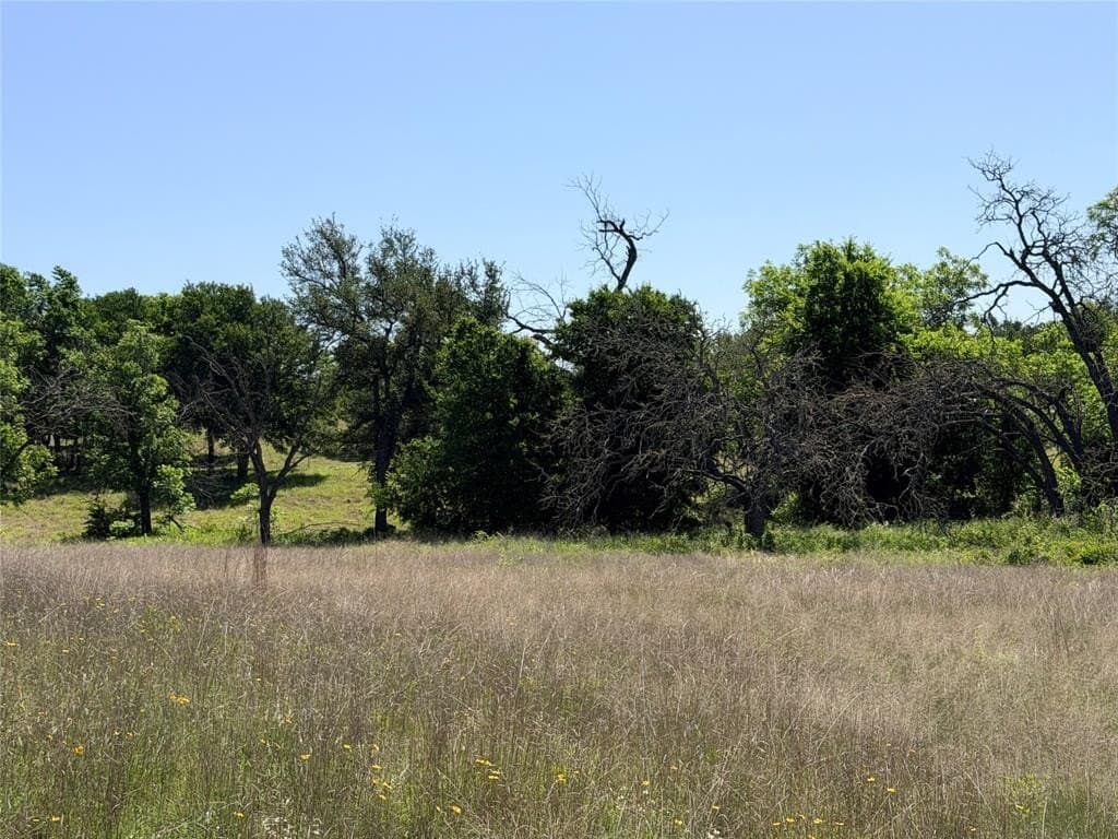 17.1 acres in Mills County gallery image 4