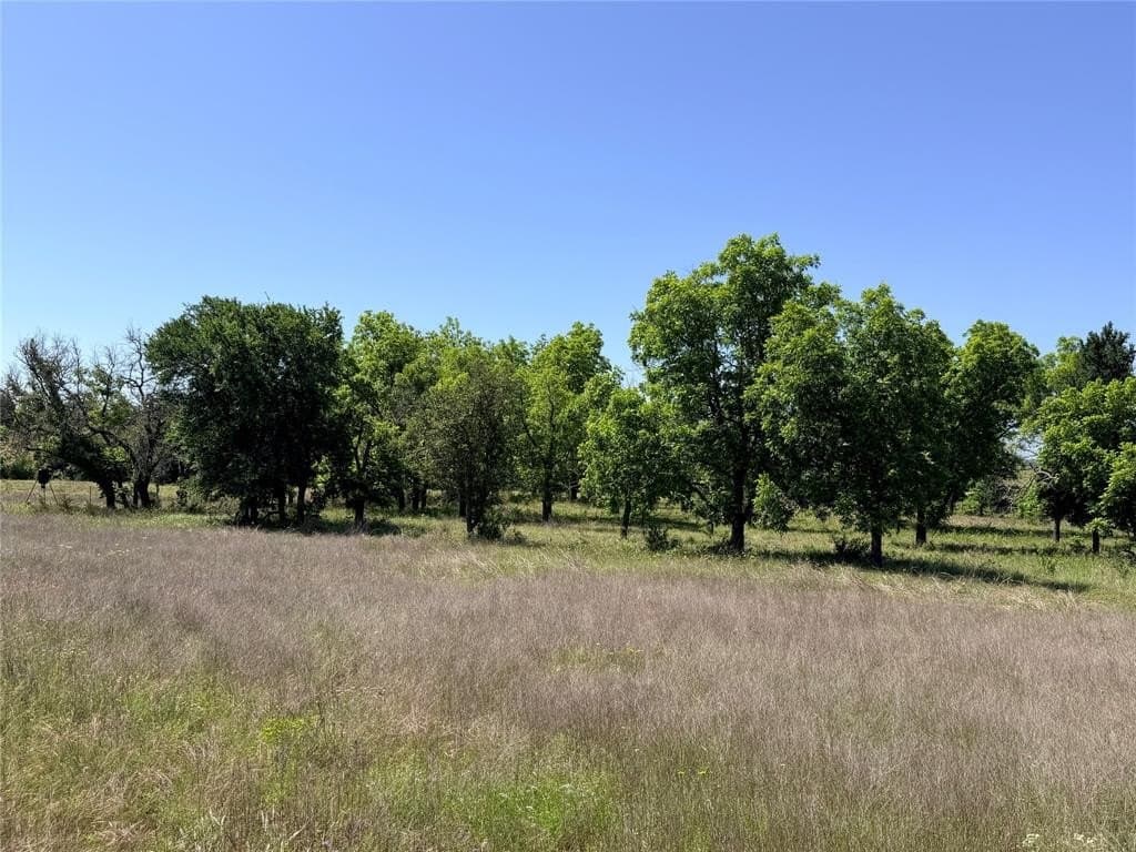 17.1 acres in Mills County gallery image 3