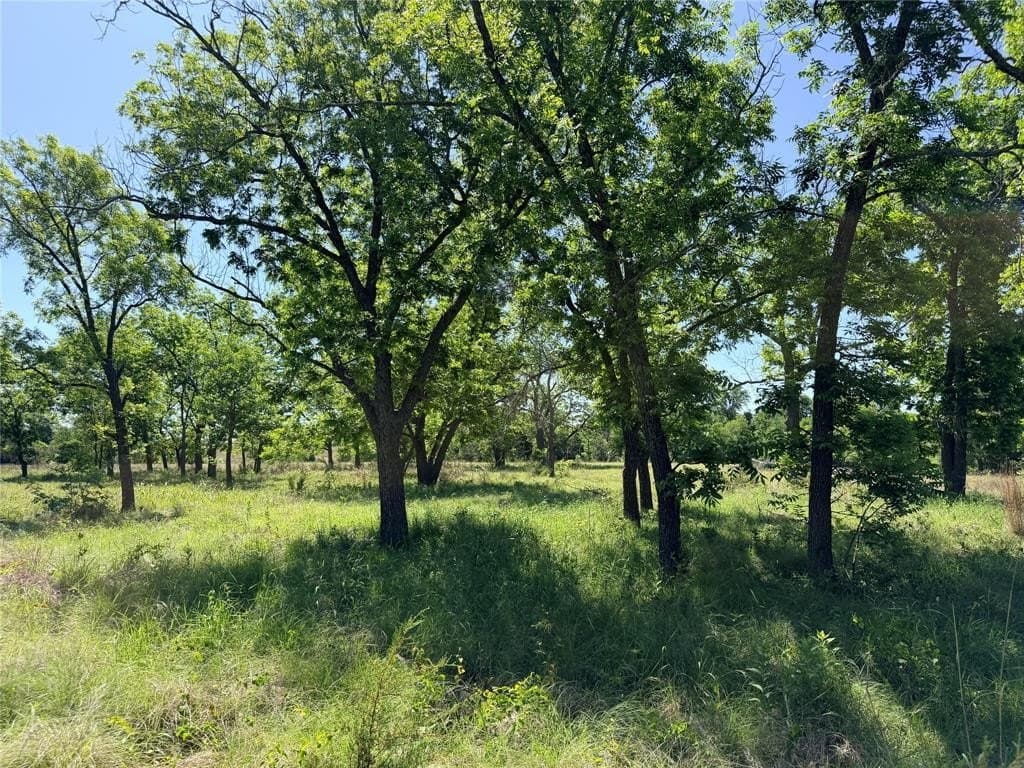 17.1 acres in Mills County gallery image 2