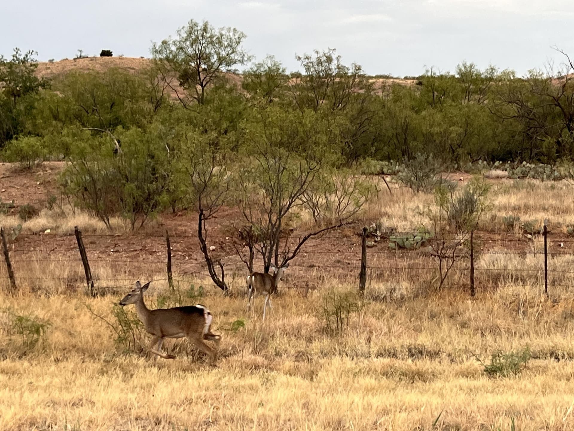 0.27 acres in Crosby County - photo 3