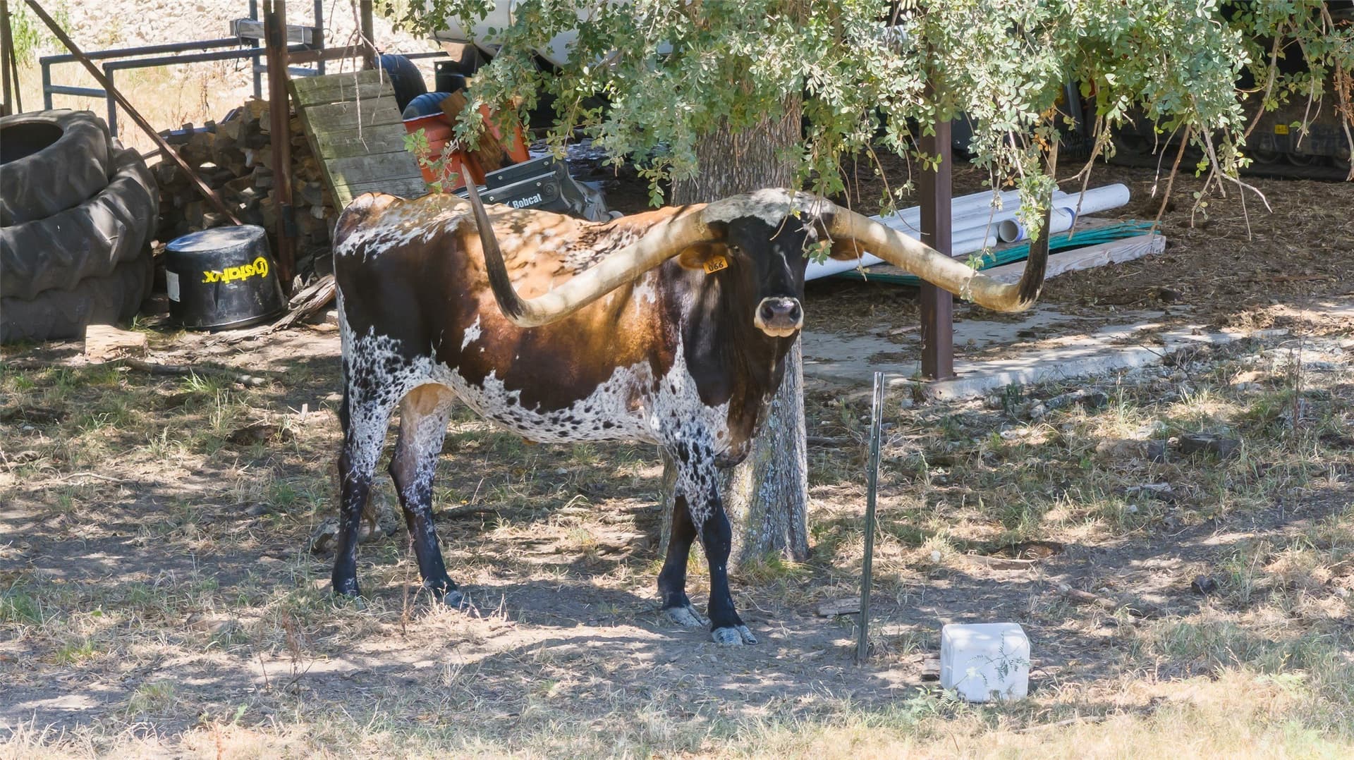 20.18 acres in Kaufman County - photo 37