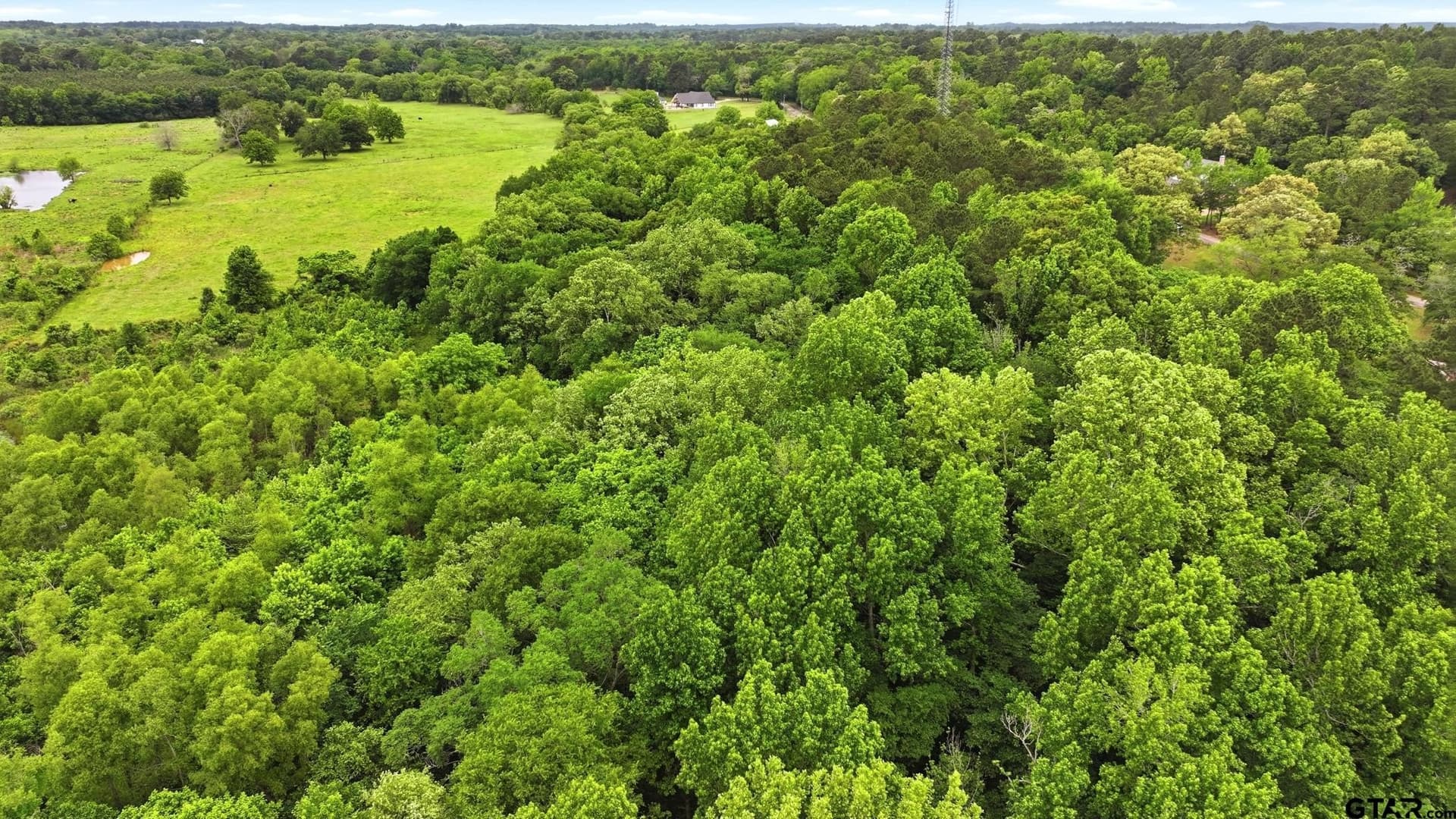 13.69 acres in Smith County - photo 10