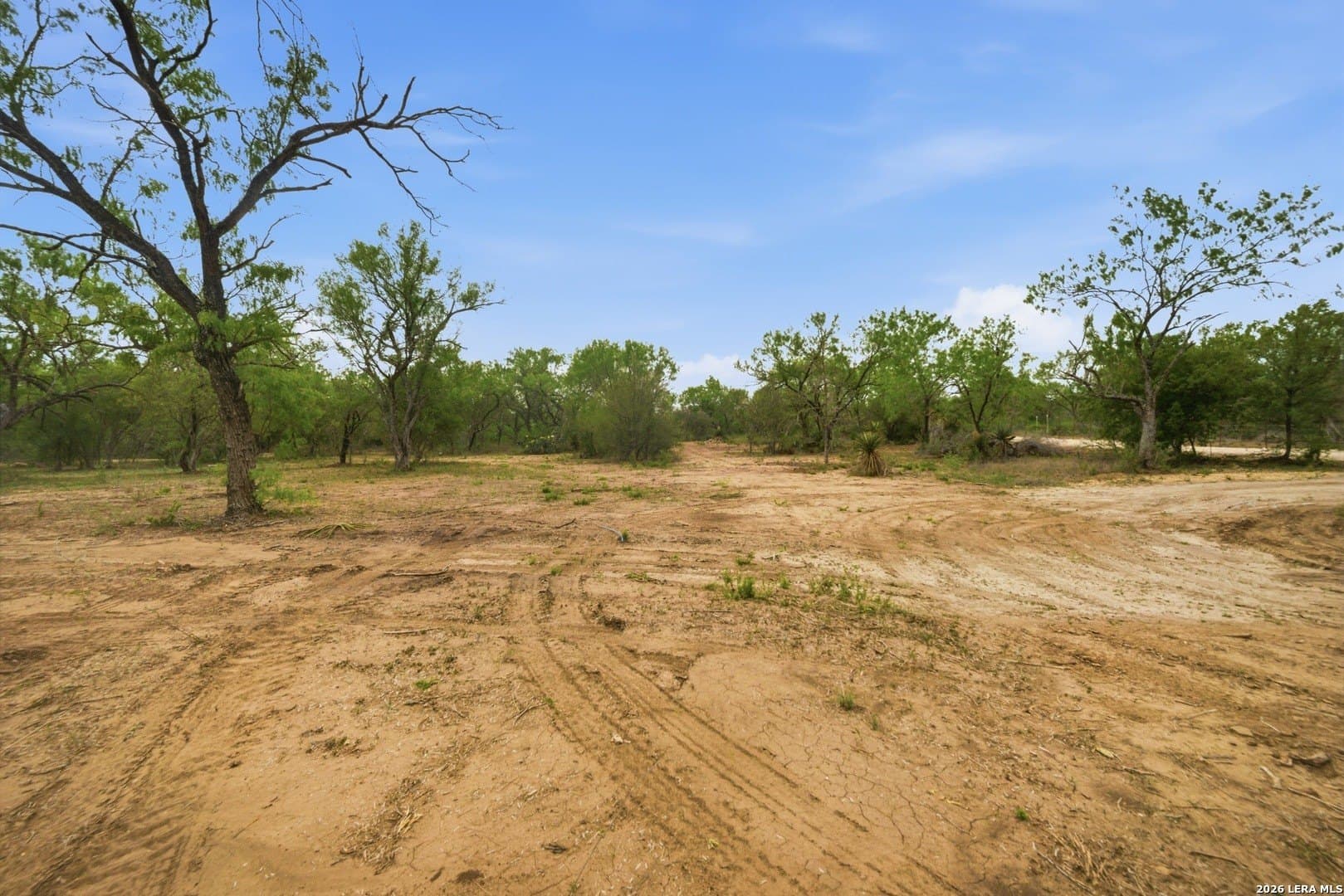 24.58 acres in Bexar County gallery image 4