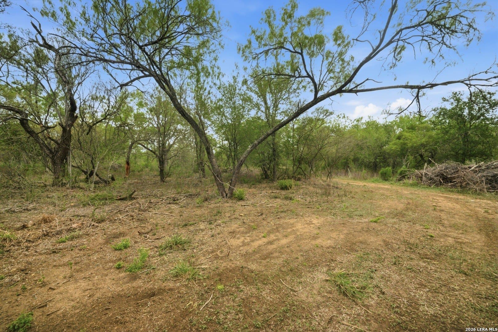 24.58 acres in Bexar County featured view