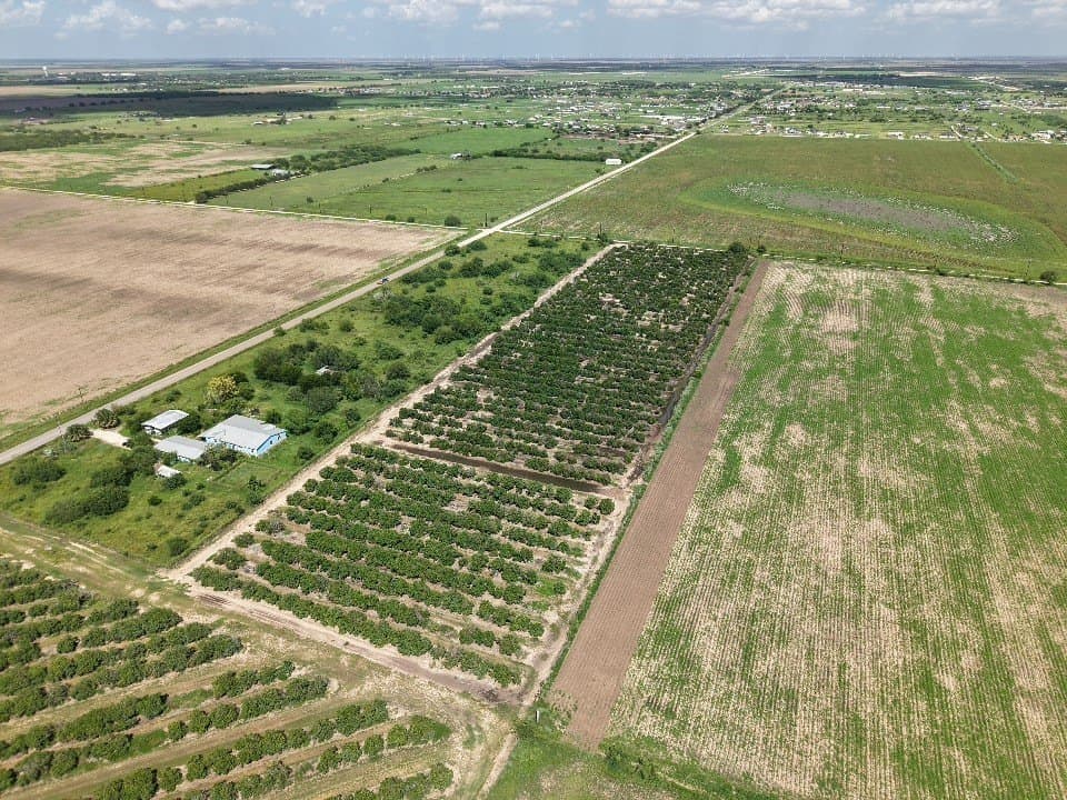 13.13 acres in Hidalgo County gallery image 4