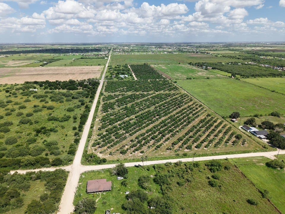 13.13 acres in Hidalgo County