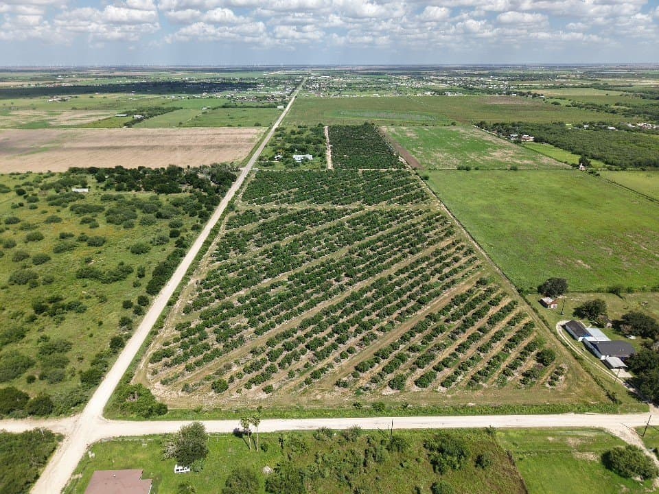 13.13 acres in Hidalgo County gallery image 2