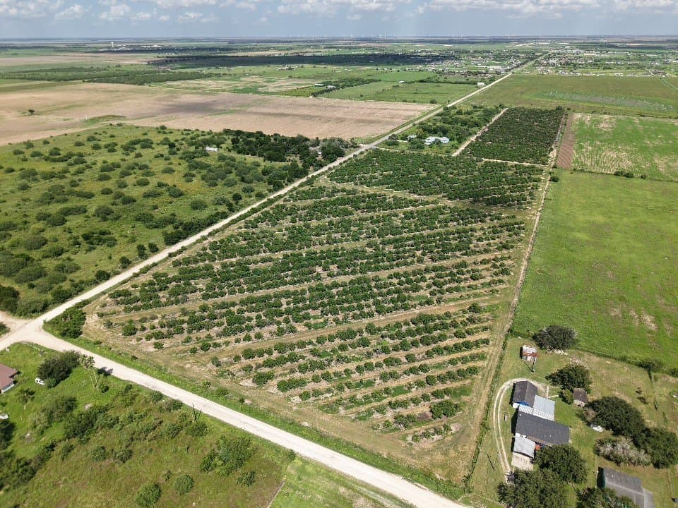 13.13 acres in Hidalgo County gallery image 3