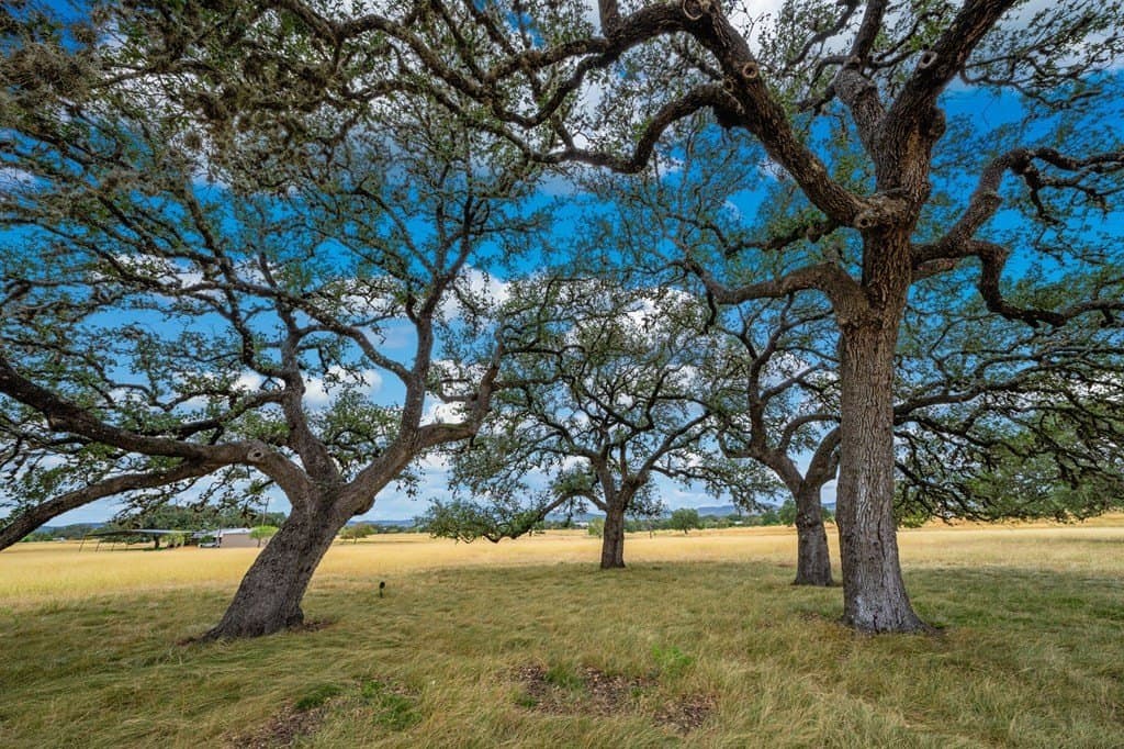 5.06 acres in Bandera County gallery image 2