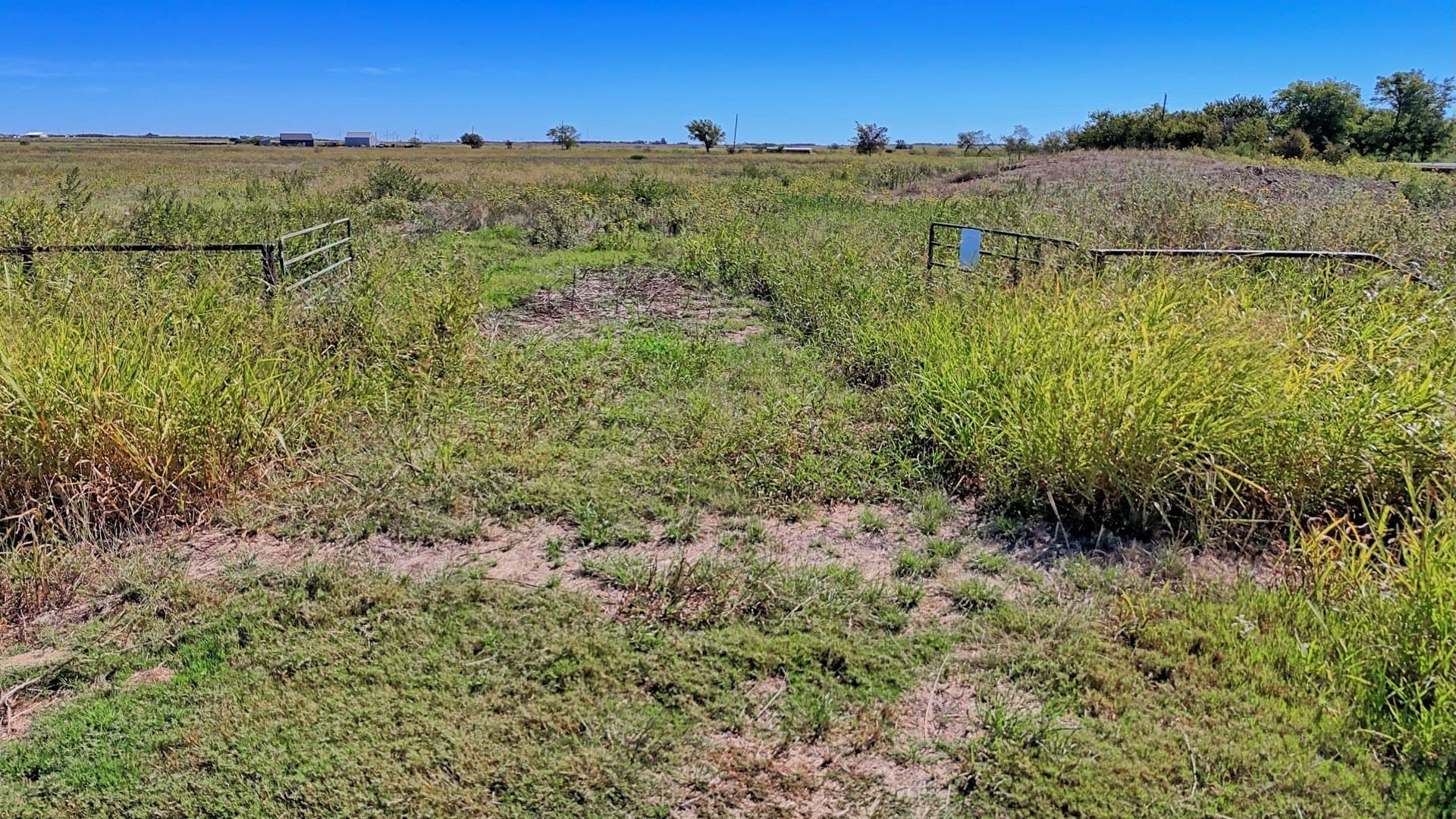 48.49 acres in Young County - photo 12