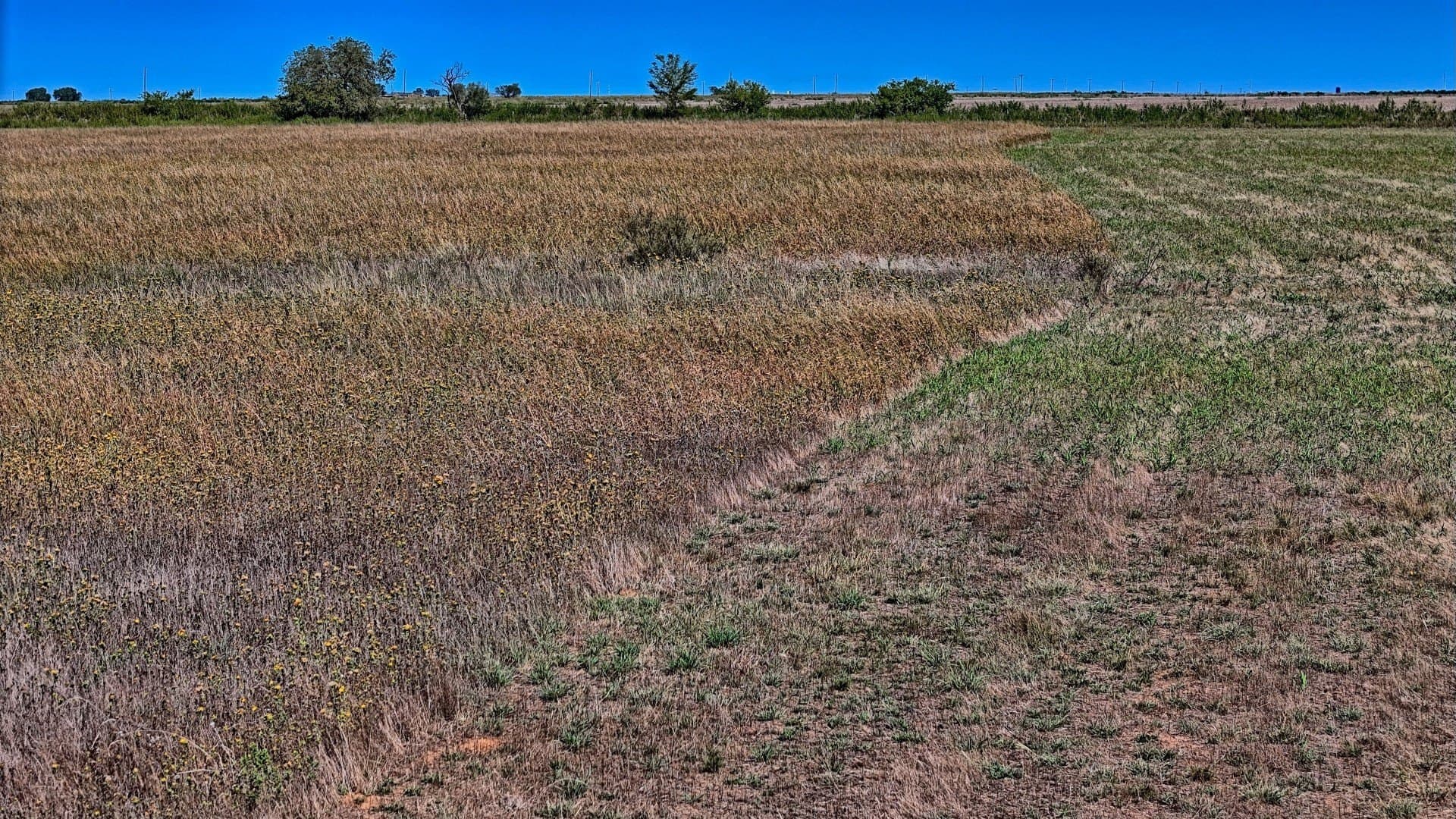48.49 acres in Young County - photo 8