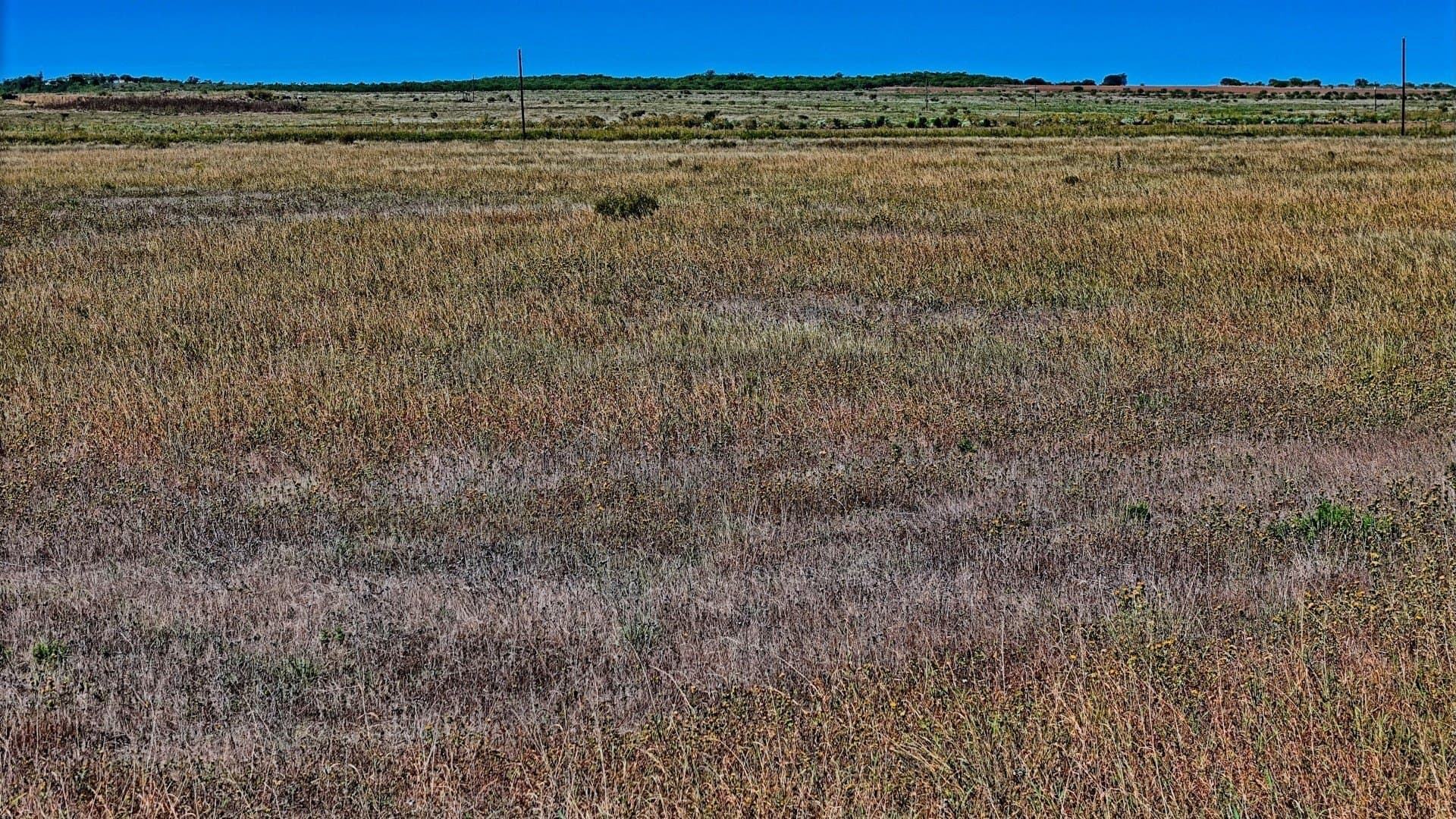 48.49 acres in Young County - photo 9