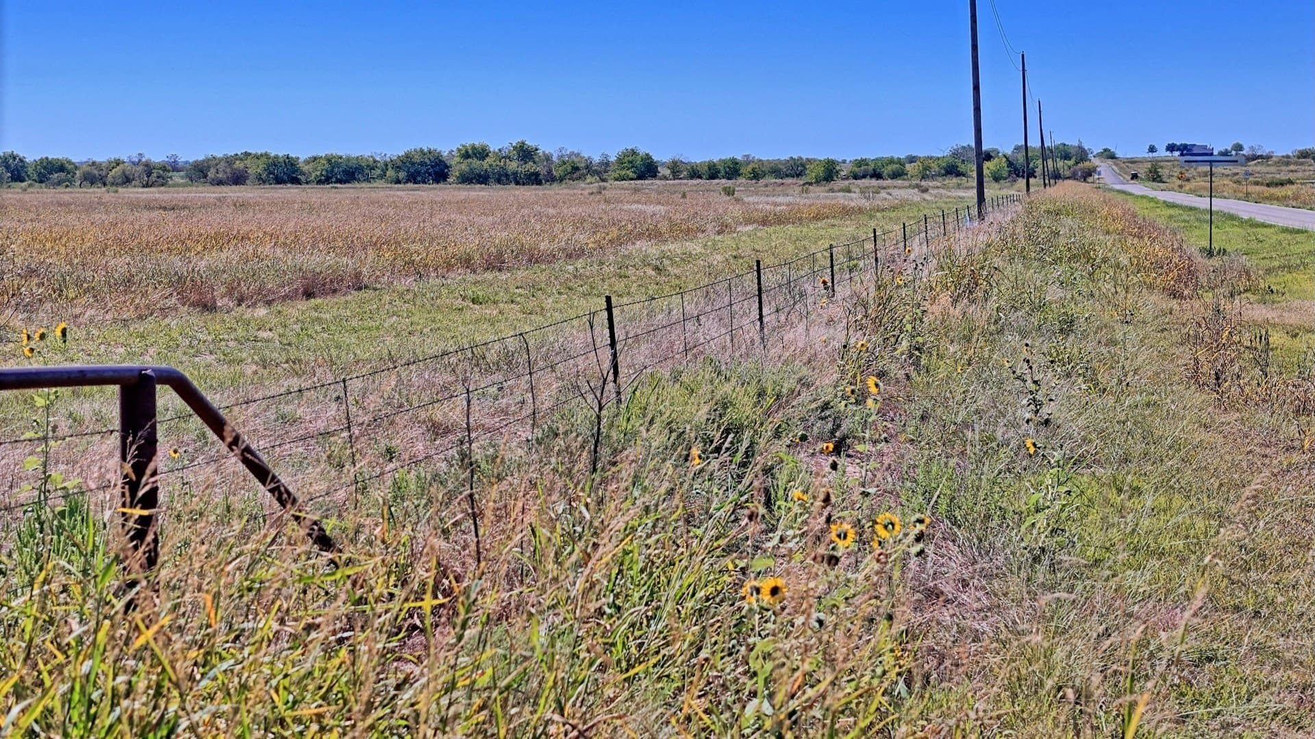 48.49 acres in Young County - photo 16