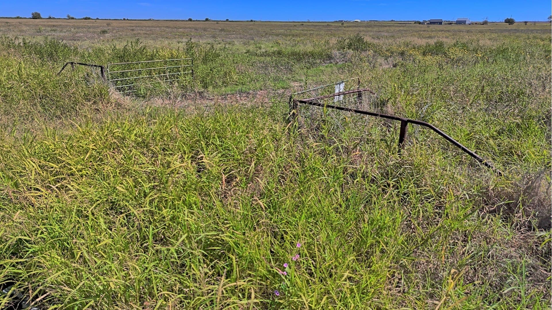 48.49 acres in Young County - photo 17