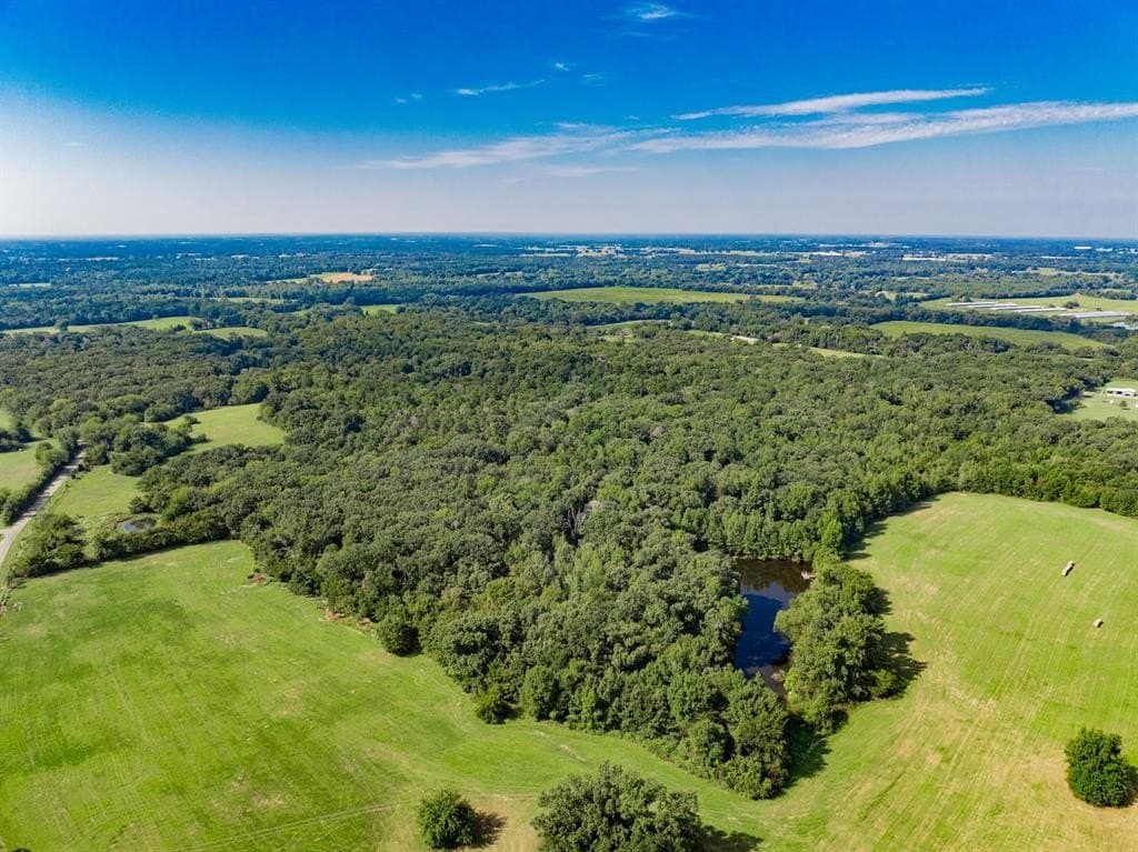 111.79 acres in Hopkins County gallery image 3