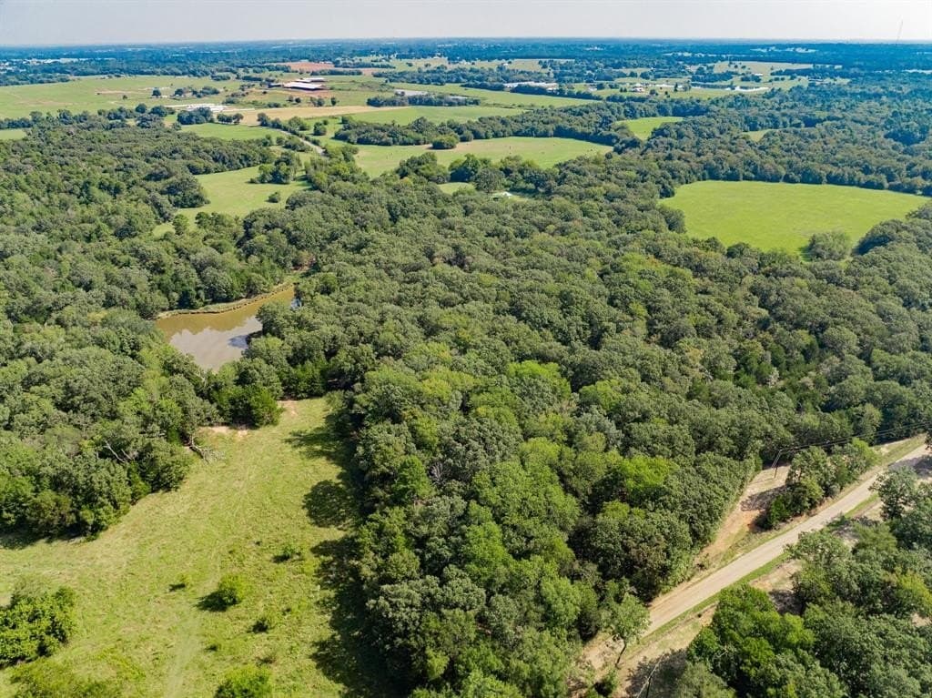 111.79 acres in Hopkins County gallery image 2