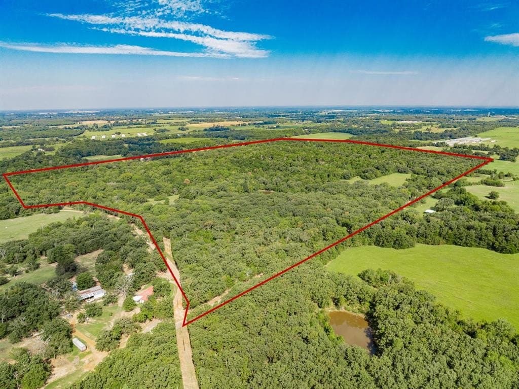 111.79 acres in Hopkins County gallery image 4