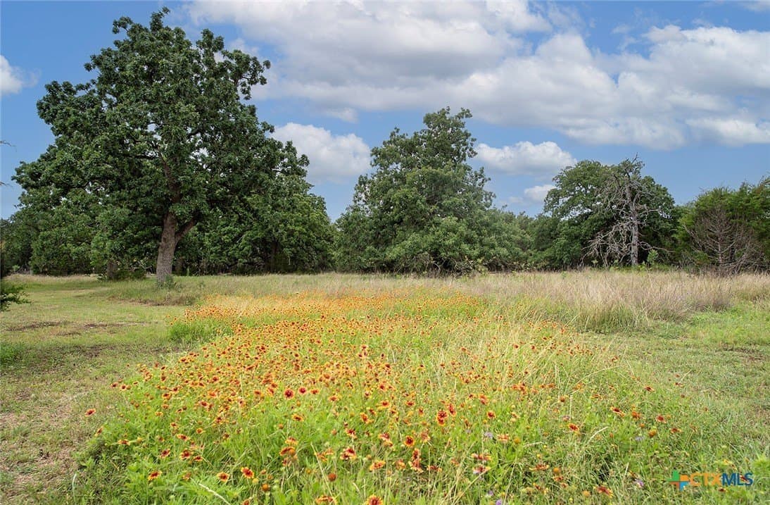 10.18 acres in Williamson County - photo 21