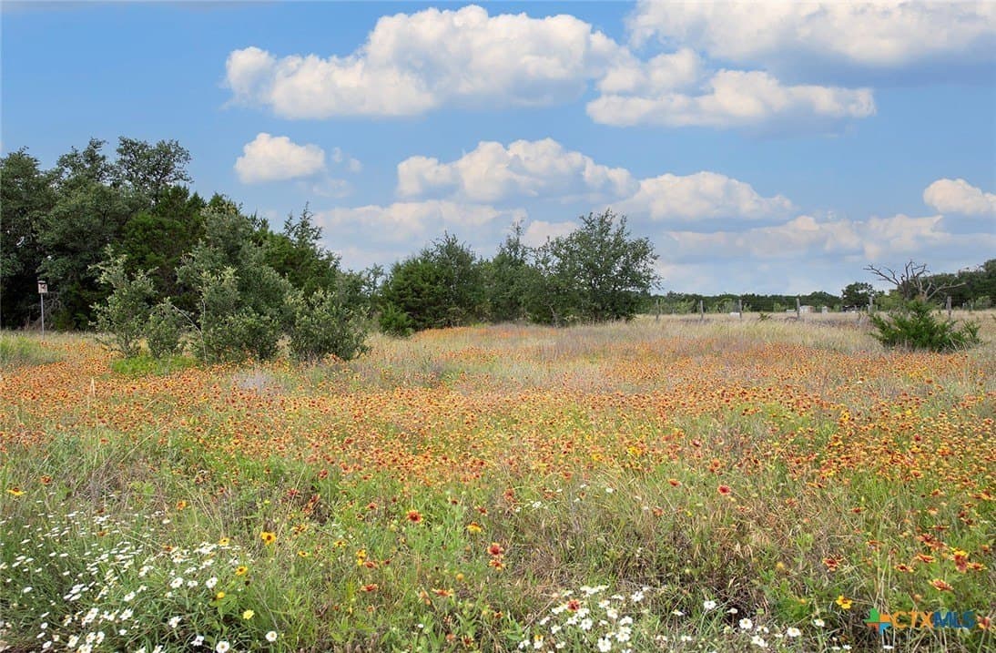 10.18 acres in Williamson County - photo 27