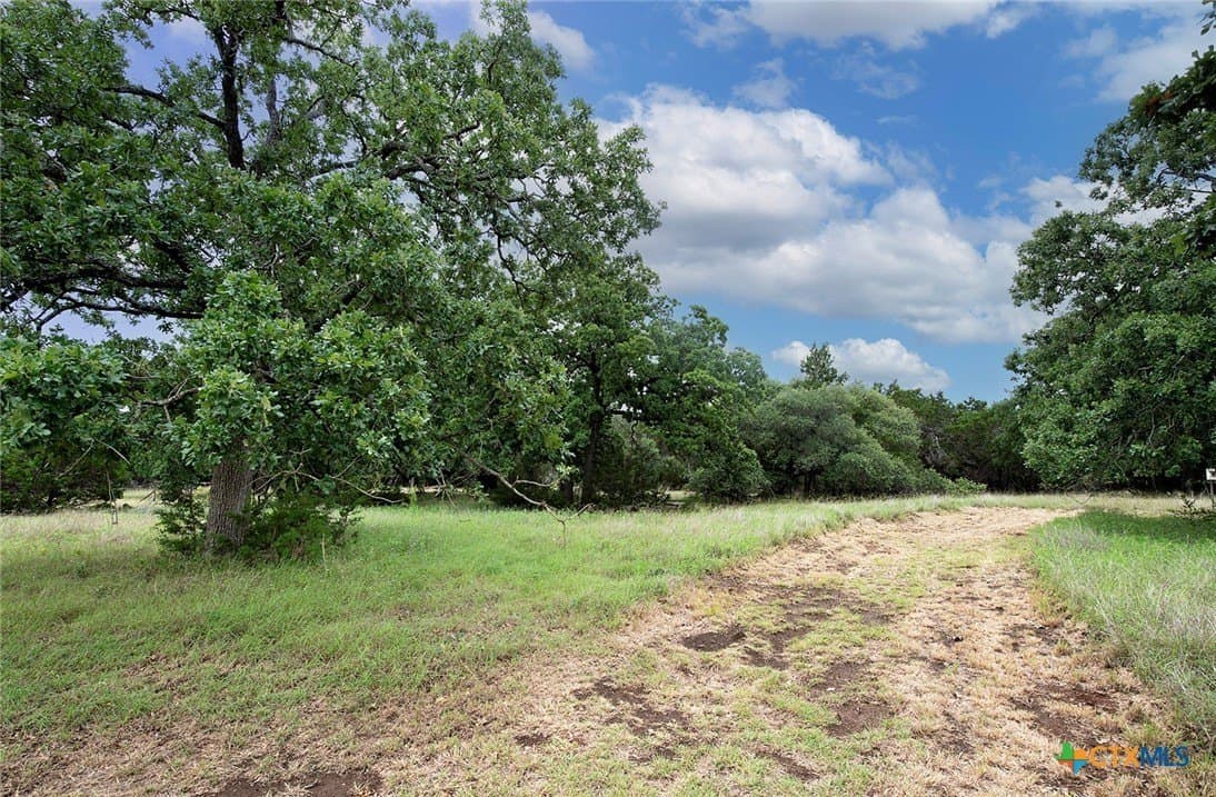 10.18 acres in Williamson County - photo 31